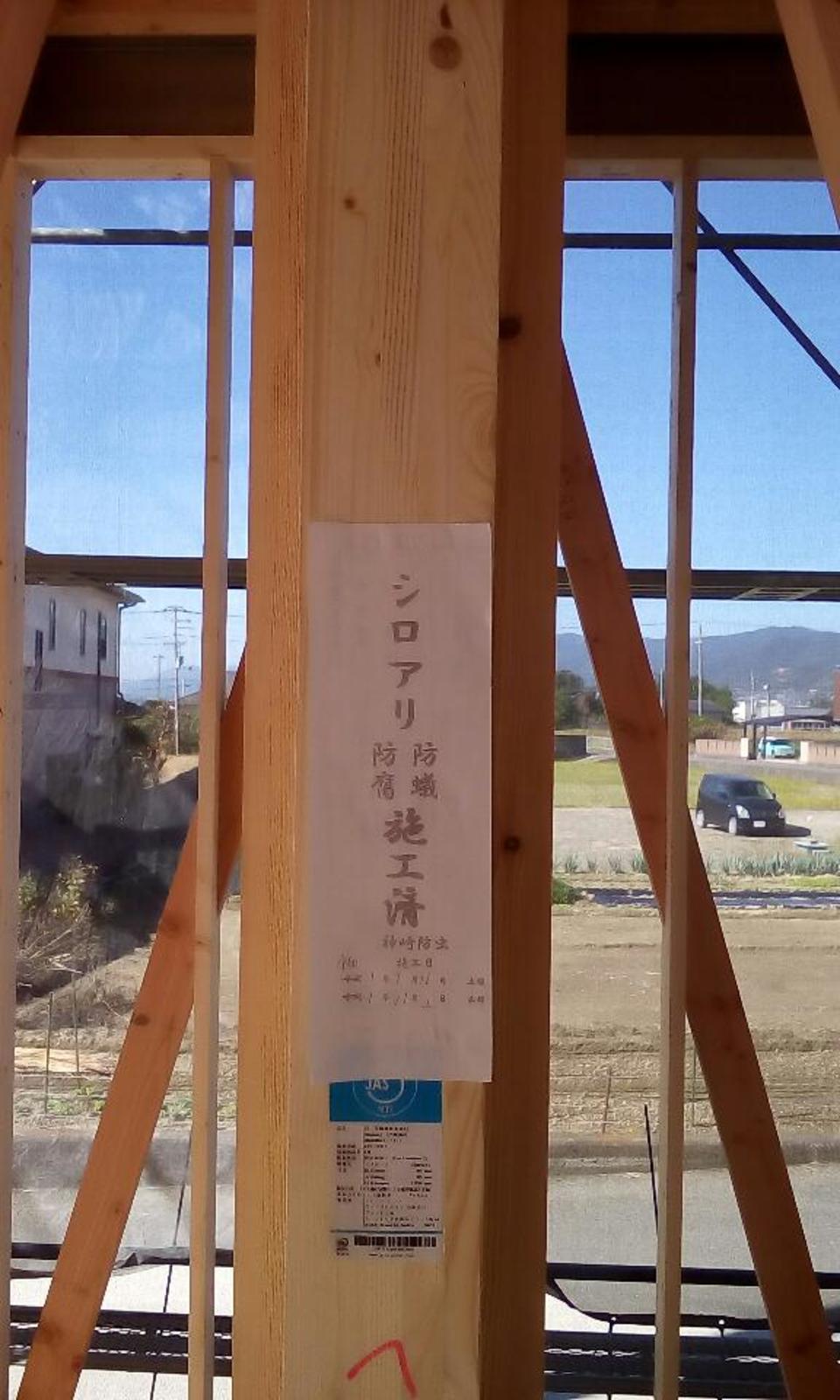 二回目の防虫作業を行いました。